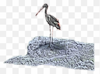 Stork Bird Artistic Vipshoutout Sticker - White Stork Emoji,Stork Emoji