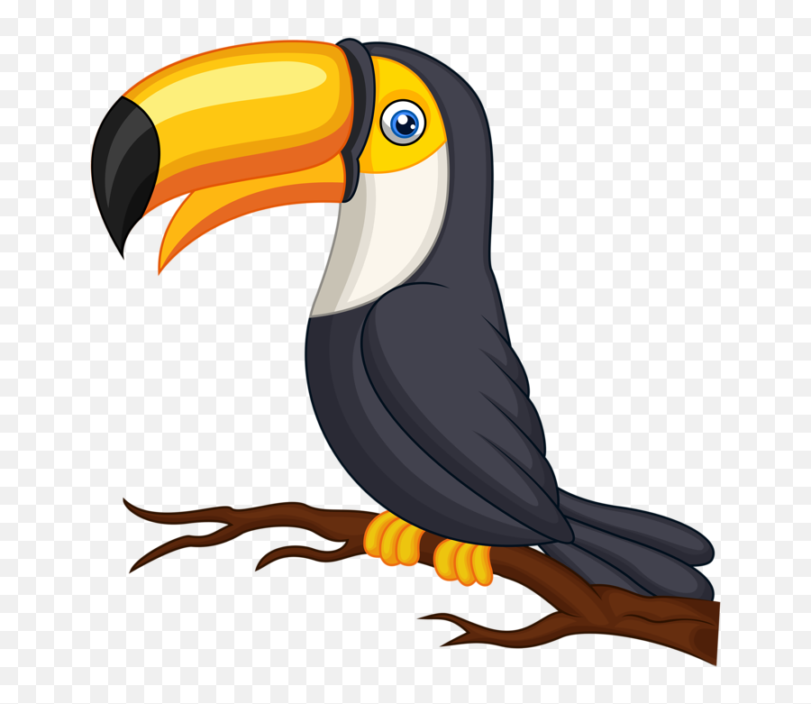 Tucan Png - Transparent Background Toucan Clipart Emoji,Toucan Emoji