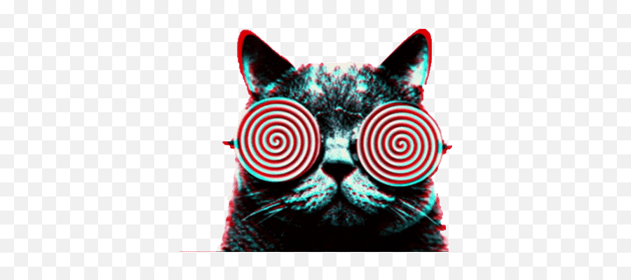 Top Trippy Cats Stickers For Android U0026 Ios Gfycat - Twitch Alerts Meme Gif Emoji,Cheshire Cat Emoji