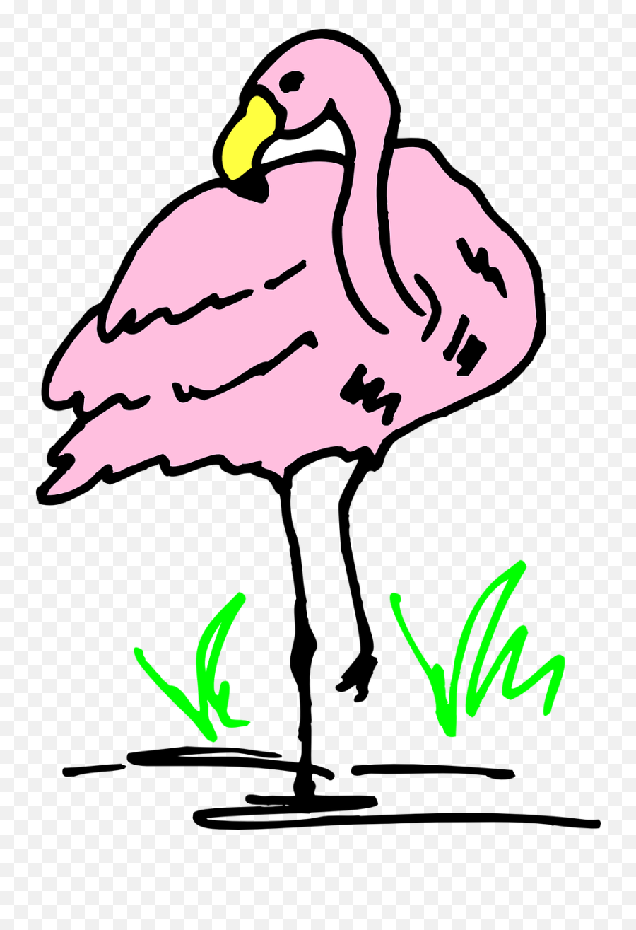 Water Pink Bird Grass Flamingo - Hewan Flamingo Kartun Png Emoji,Pink Flamingo Emoji