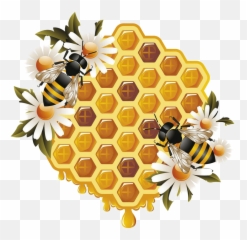 Beehive Bees Honeycomb - Transparent Background Honey Bee Png Emoji,Beehive Emoji