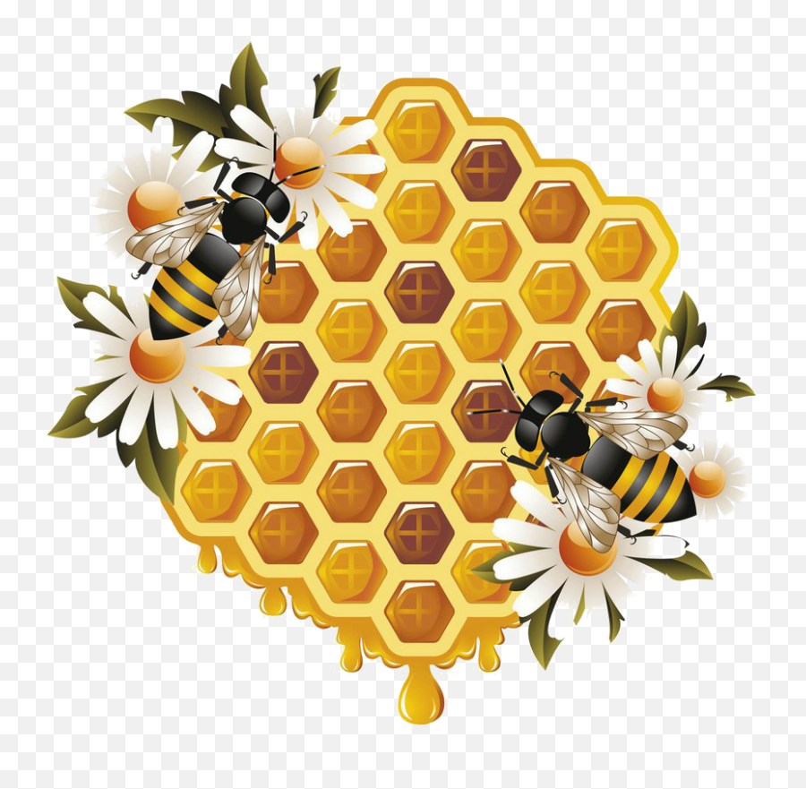 Beehive Bees Honeycomb - Transparent Background Honey Bee Png Emoji,Beehive Emoji