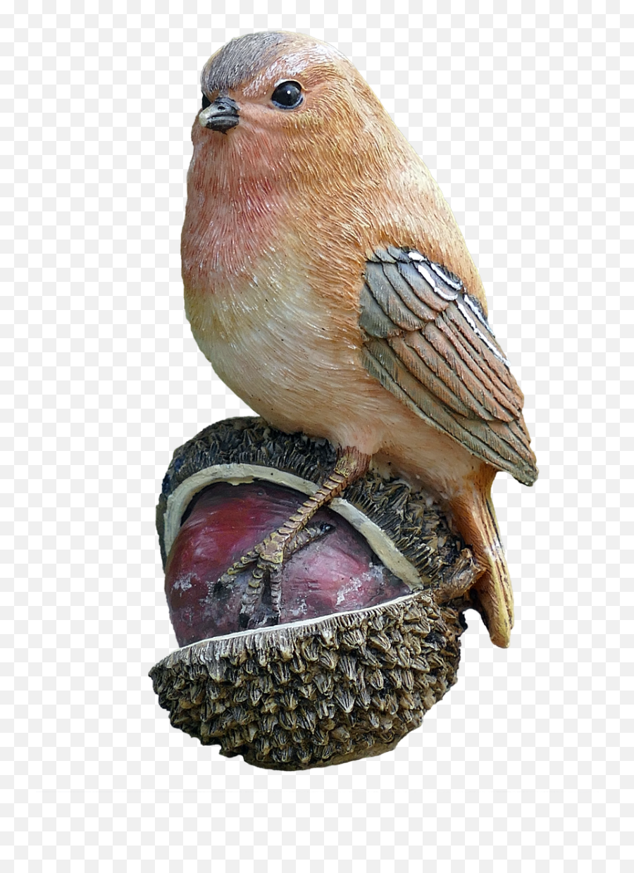Bird Chestnut Nature Free Pictures - Portable Network Graphics Emoji,Drake Owl Emoji