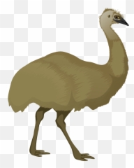 Kangaroo Native Animal Australian - Emu Clipart Emoji