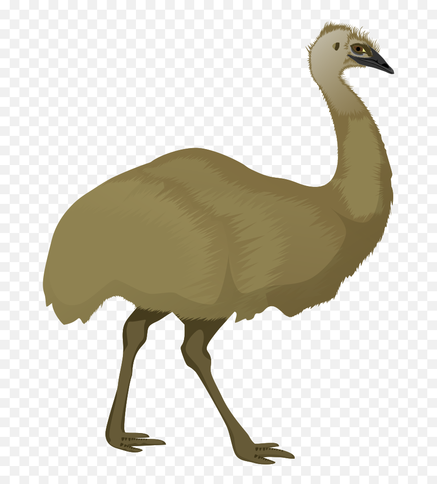 Kangaroo Native Animal Australian - Emu Clipart Emoji,Emu Emoji