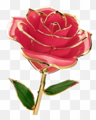 Rose Flower Png Images Free Download - Rose Flower Images Download Emoji,Emoji Flower Png