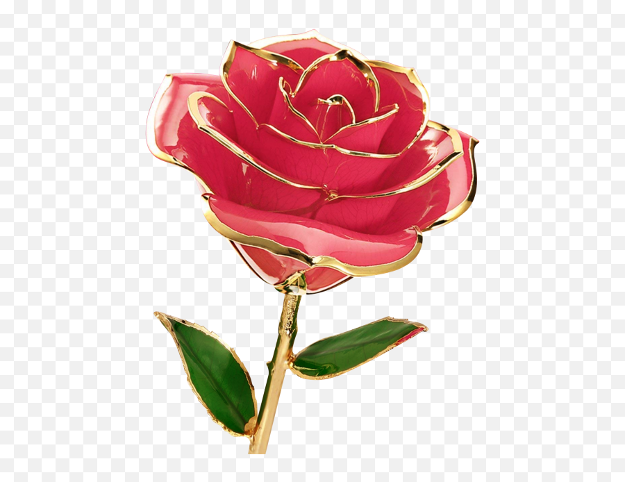 Rose Flower Png Images Free Download - Rose Flower Images Download Emoji,Emoji Flower Png