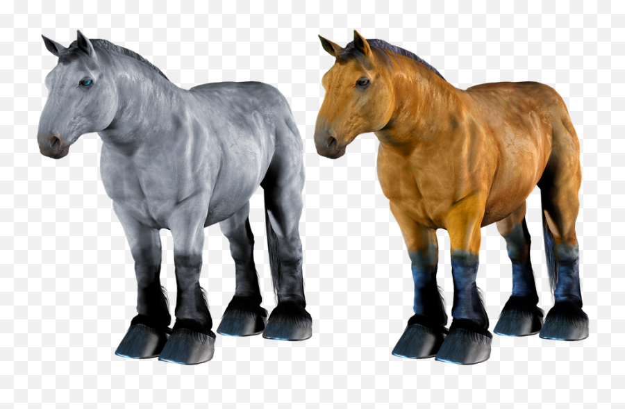 Horse Buckskin Bay - Horses Png Emoji,Night Horse Emoji