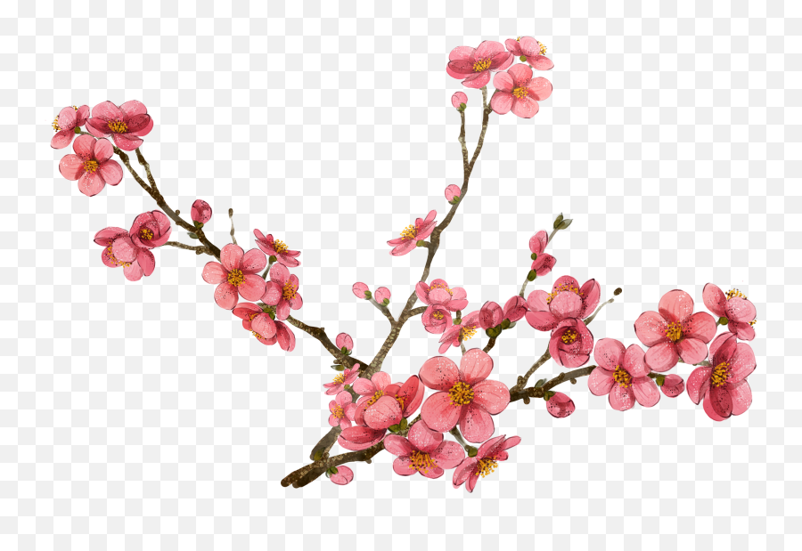 Library Of Plum Flower Picture Black - Transparent Cherry Blossom Png Emoji,Cherry Blossom Emoji
