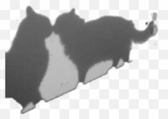 shadow kiss catkiss cats blackcats meow kitty pets - Shadow Emoji
