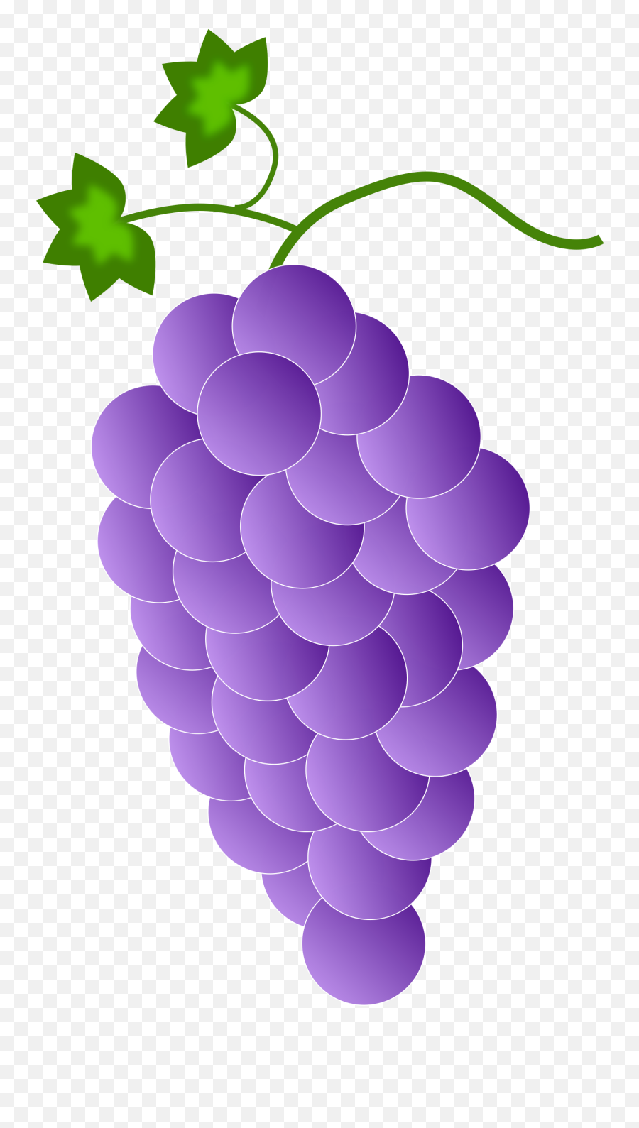 Transparent Grapes Purple Colour Picture - Purple Color Grapes Emoji,Grapes Emoji