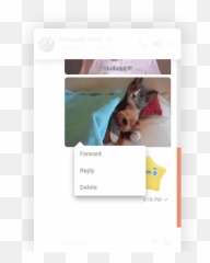 Channelize - Teddy Emoji