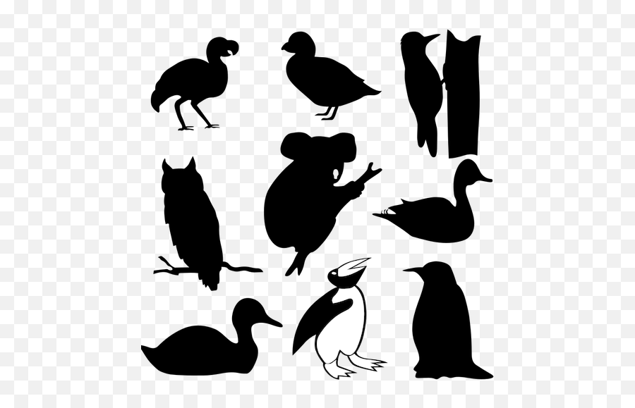 Garis Gambar Spesies Burung Yang - Owl Silhouette Png Emoji,Duck Emoticon