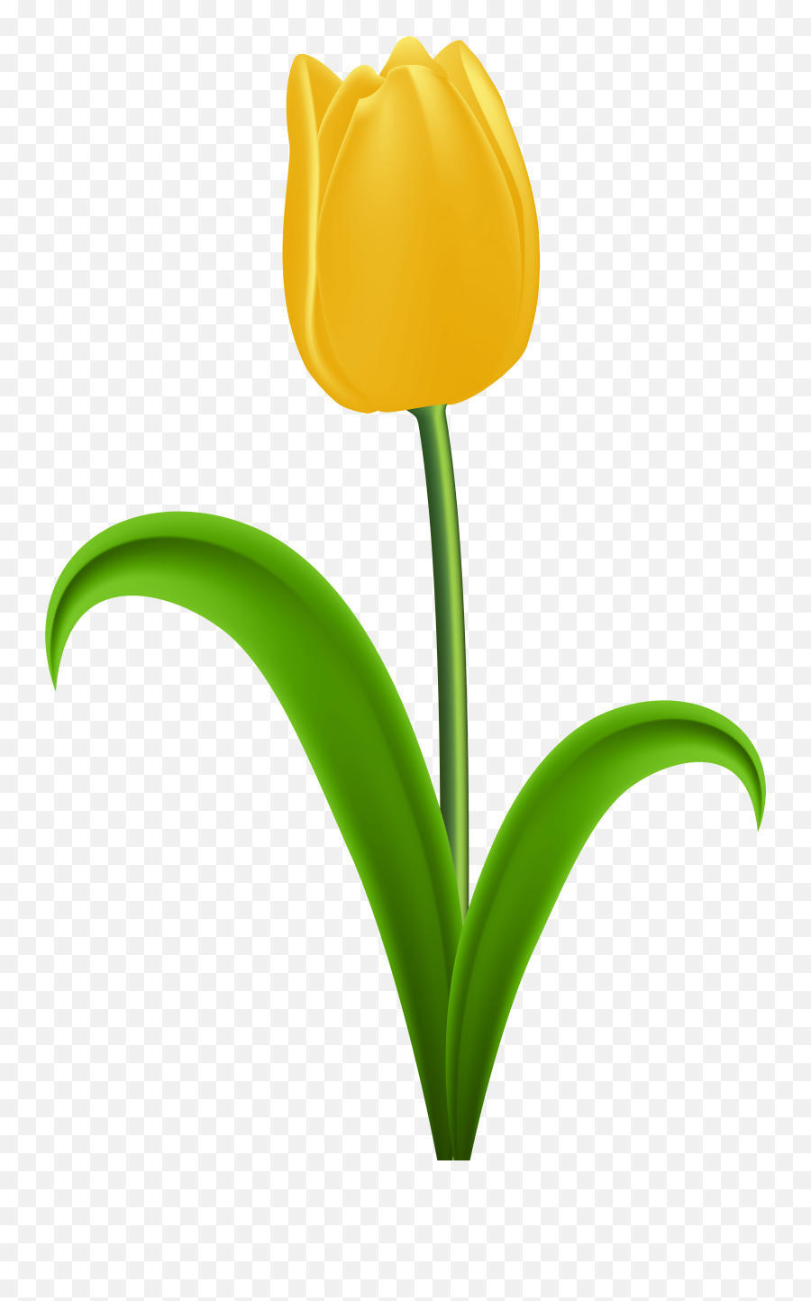 Tulip Clipart Png - Transparent Background Yellow Tulip Png Emoji,Tulip Emoji