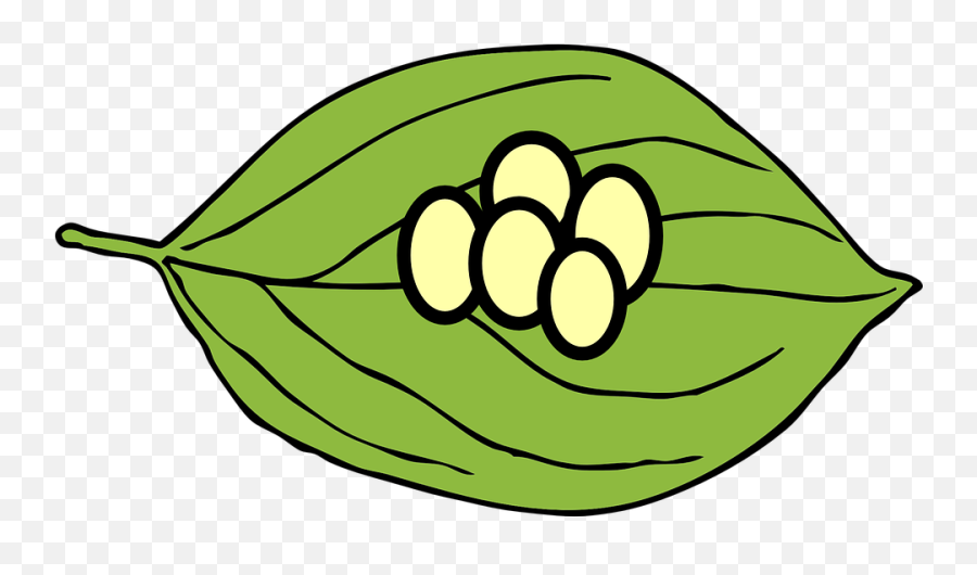 Free Green Apple Apple Vectors - Butterfly Eggs Clipart Emoji,Watermelon Emoticon
