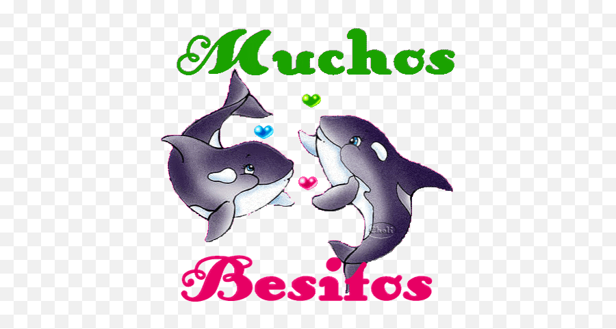 Top Dolphines Stickers For Android - Cartoon Emoji,Dolphin Emoticon