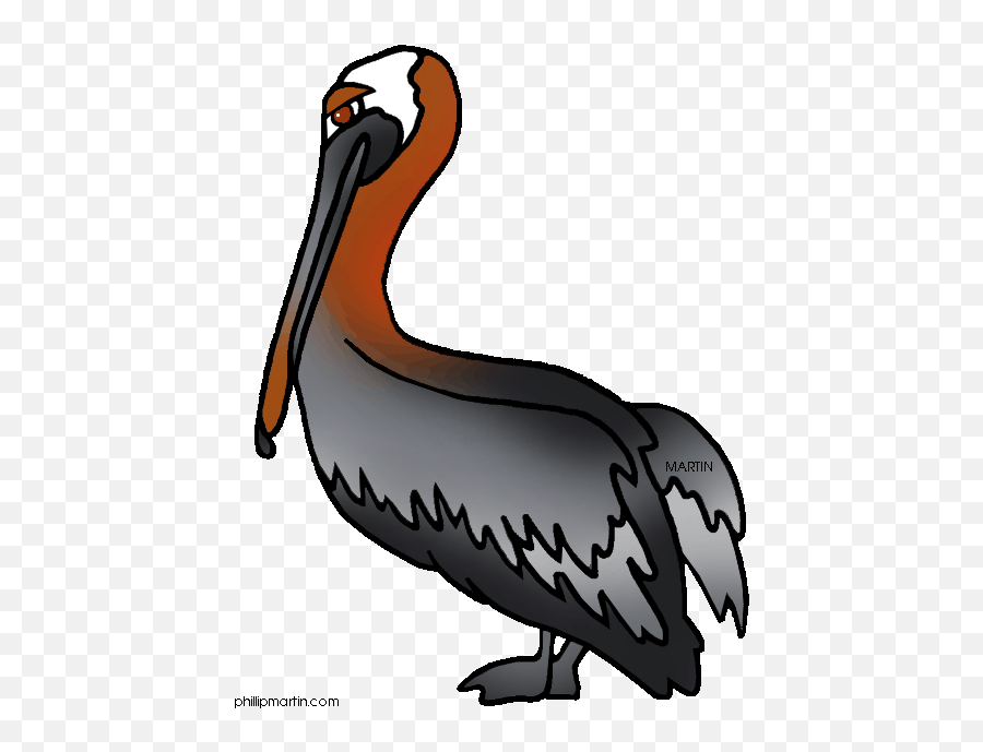 Brown Pelican Clipart - Louisiana State Pelican Clipart Emoji,Pelican Emoji