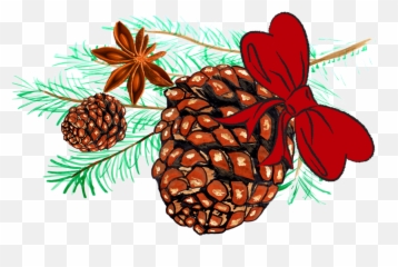 Largest Collection Of Free - Toedit Pinecones Stickers On Picsart Illustration Emoji,Pinecone Emoji