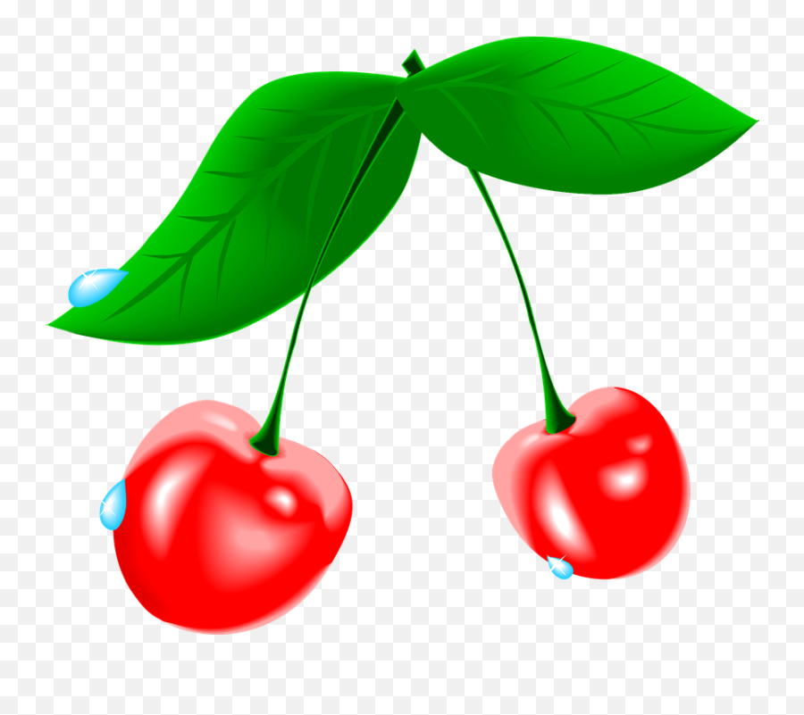 Free Cherries Cherry Vectors - Cherry Clip Art Emoji,Bomb Emoticon
