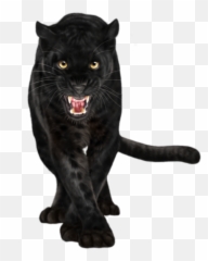 Panther Panthers - Evolution Of Black Panther Animal Emoji,Panther Emoji