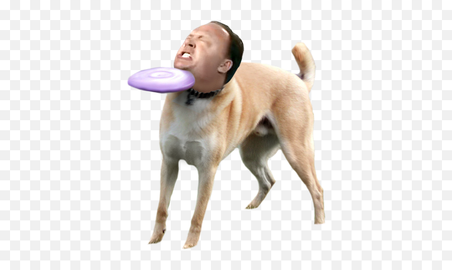 Alex Jones Transparent Background U0026 Free Alex Jones - Shiba Inu Meme Emoji,Alex Jones Emoji