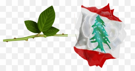 Popular and Trending lebanon Stickers PicsArt - Vertical Emoji