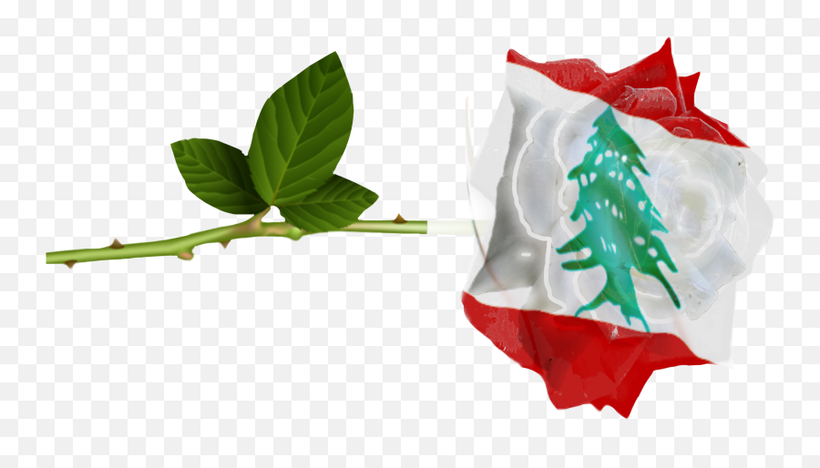 Popular And Trending Lebanon Stickers Picsart - Vertical Emoji,Lebanese Flag Emoji