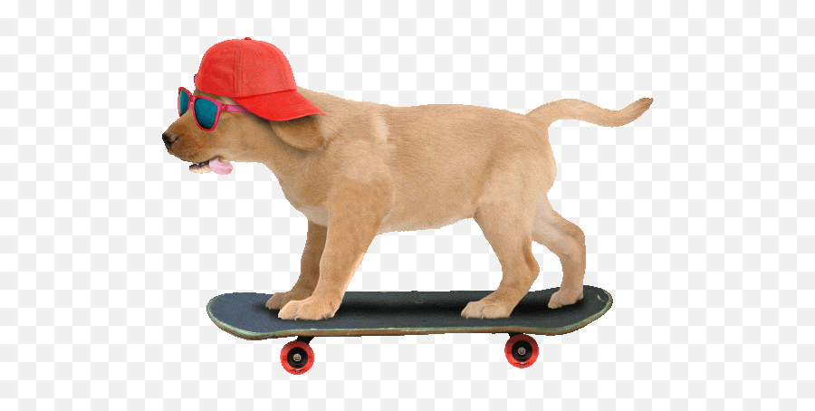 Top Barking Like Dog Stickers For - Dog Animated Gif Transparent Emoji,Barking Dog Emoji