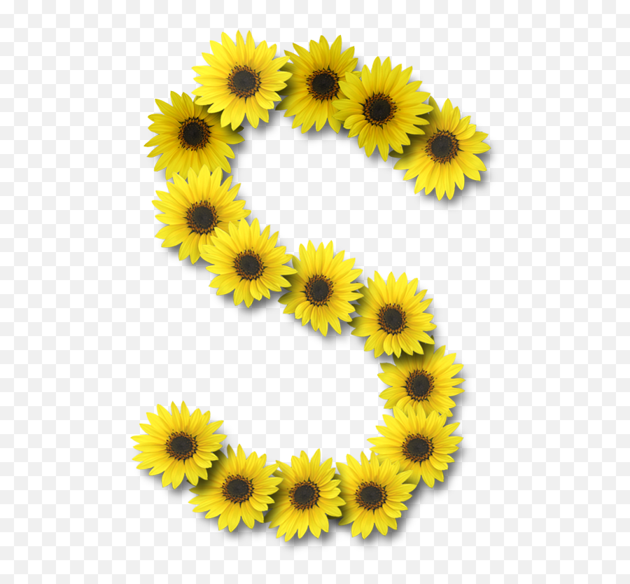 Sunflower Wallpaper - Sunflower Alphabet Emoji,Sunflower Emoji Transparent