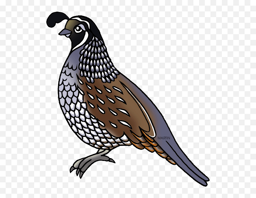 California State Bird Clipart - Quail Clipart Emoji,California State Emoji