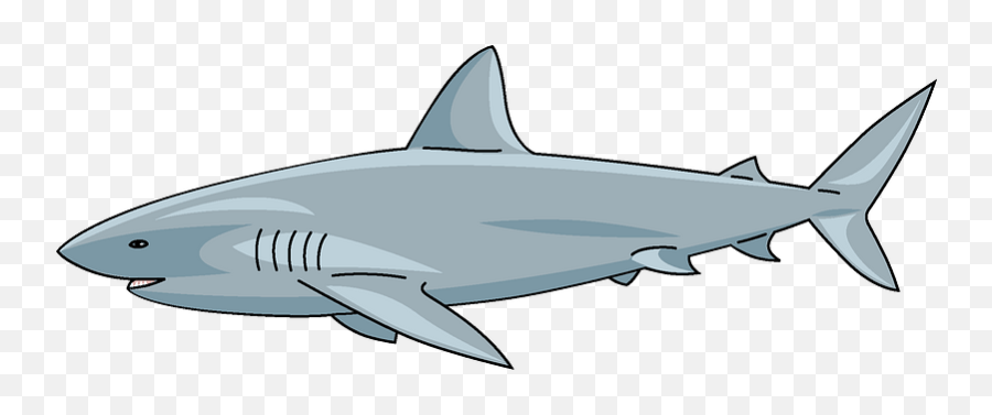 Shark Clipart Free Download Transparent Png Creazilla - Shark Clipart Free Emoji,Shark Fin Emoji