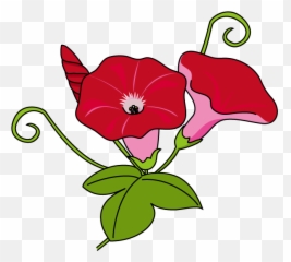 Download Morning Glory Clipart Japanese - Japanese Morning Glory Emoji,Japanese Emoji Flower
