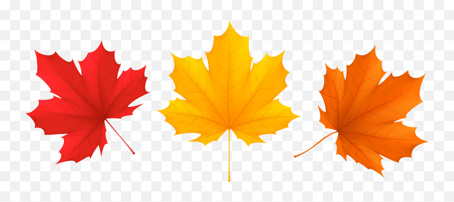 Clipart Fall Leaf Png - Clipart Fall Leaf Png Emoji,Fall Leaf Emoji