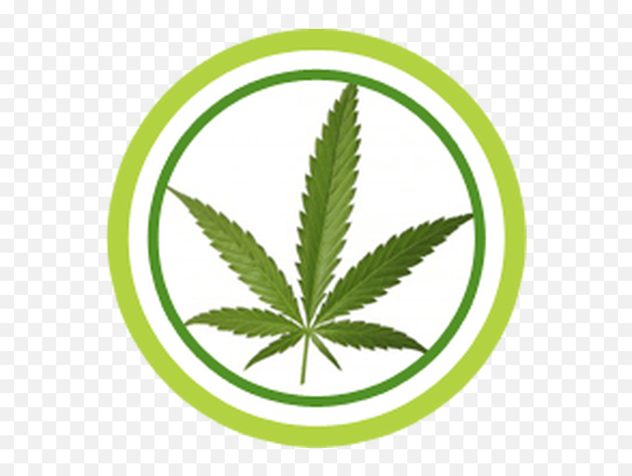 Quebec - Milehigreencom Marijuana Leaf Emoji,Clapboard Emoji