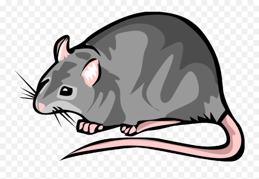 Rat Clipart Angry Picture - Rat Clipart Emoji,Rat Emoji