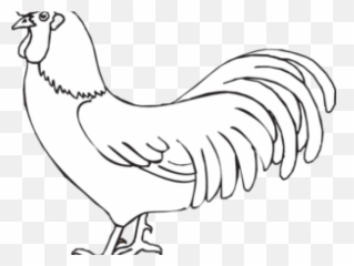 Rooster Clipart Outline - Peter Denies Jesus Bible Craft Emoji