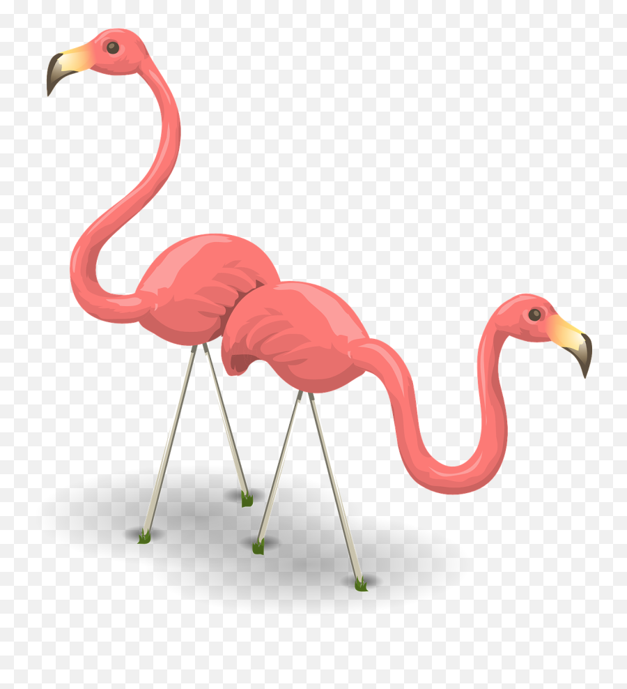 Birds Pink Flamingoes Wildlife - Png Emoji,Pink Flamingo Emoji