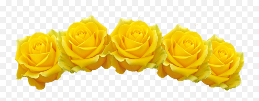 Black Aesthetic Blackaesthetic - Yellow Flower Crown Png Emoji,Black Family Emoji