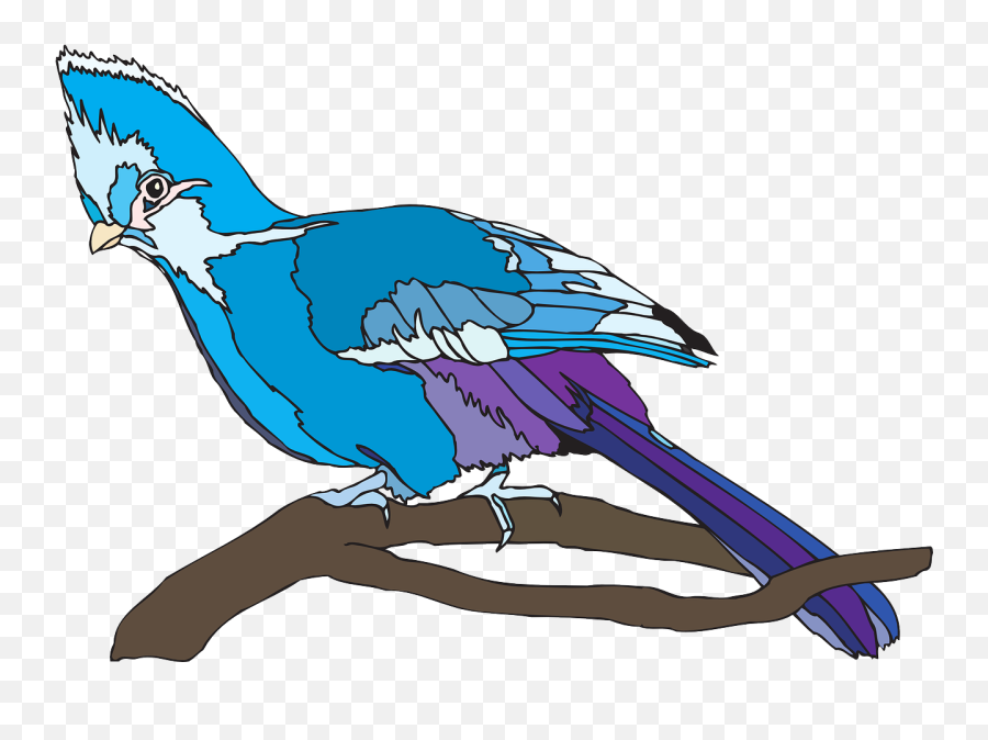 Bird Perched Nature Wildlife Bluebird - Portable Network Graphics Emoji,Drake Owl Emoji