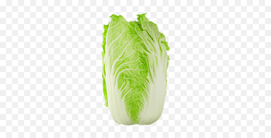Search Results For Equipes - Chinese Cabbage Png Emoji,Lettuce Emoji
