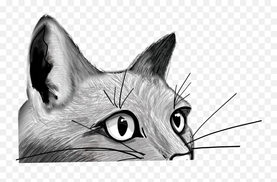 Cat Peeking Feline Face Kitty Lurking - Domestic Cat Emoji,Peeking Emoji