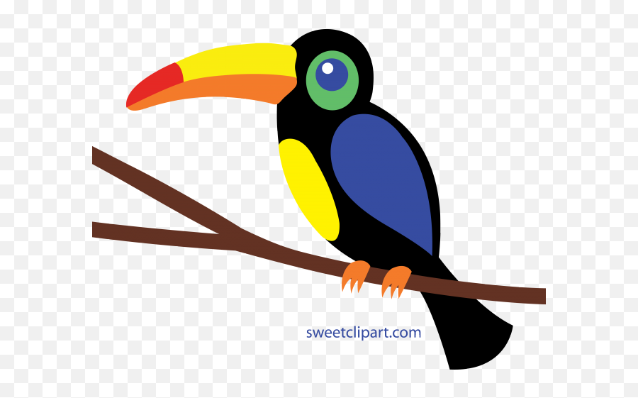 Jungle Toucan Clipart - Toucan Clipart Png Emoji,Toucan Emoji