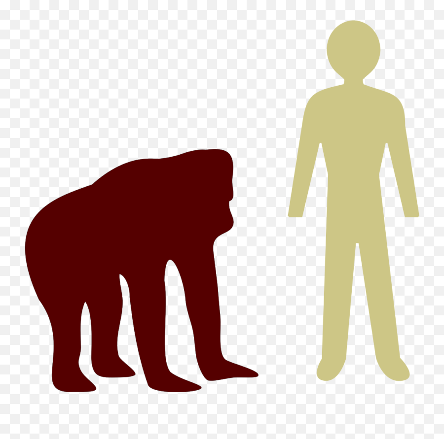 Orangutan - Height Of An Orangutan Emoji,Foot Emoji
