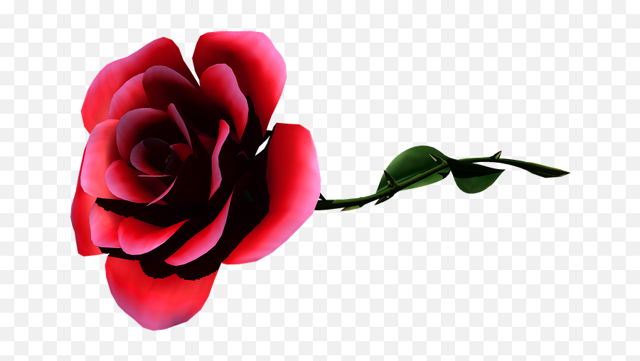 Rosa Flower Garden - Real Rose Laying Down Png Emoji,Lying Down Emoji