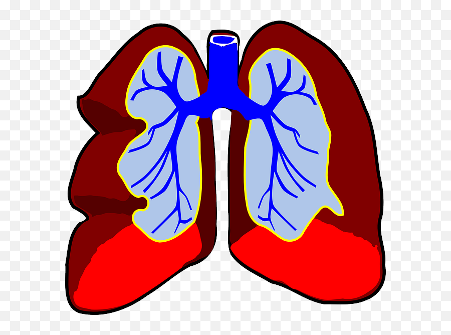 Lungs Clipart Emoji Lungs Emoji - Lungs Clip Art,Lung Emoji
