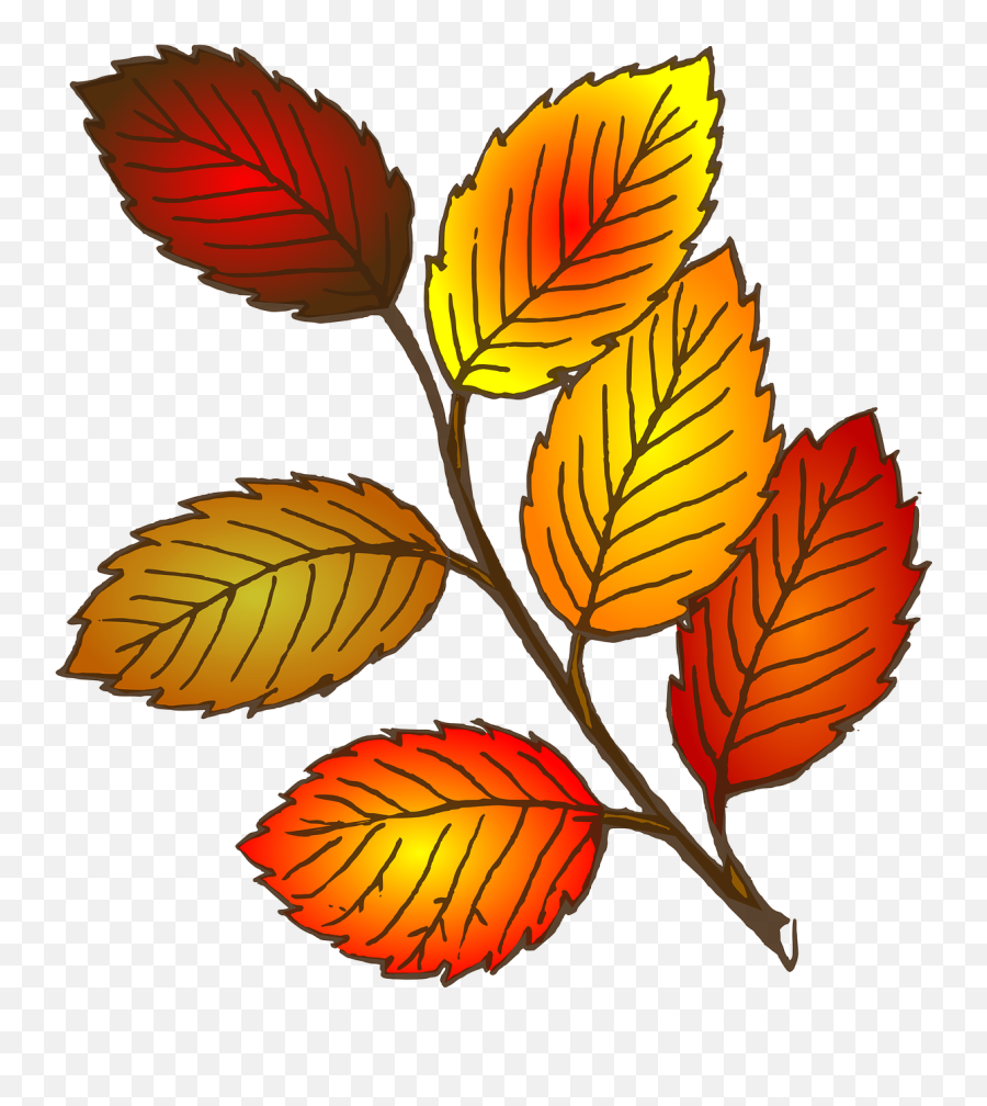 Autumn Fall Leaves Beech Orange - Leaves Clip Art Emoji,Falling Leaves Emoji