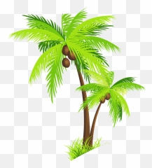 Palm Tree Beach Clipart Free Clipart Images - Transparent Background Coconut Tree Clipart Emoji,Palm Tree Emoji