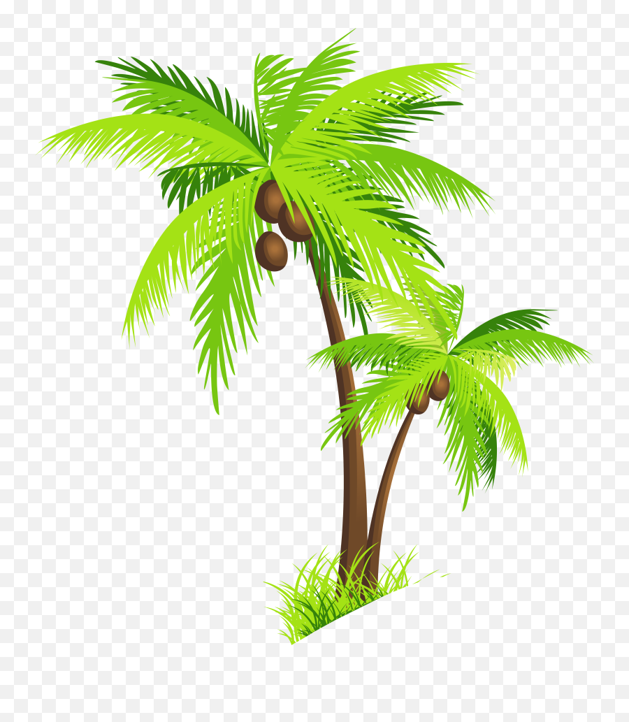 Palm Tree Beach Clipart Free Clipart Images - Transparent Background Coconut Tree Clipart Emoji,Palm Tree Emoji