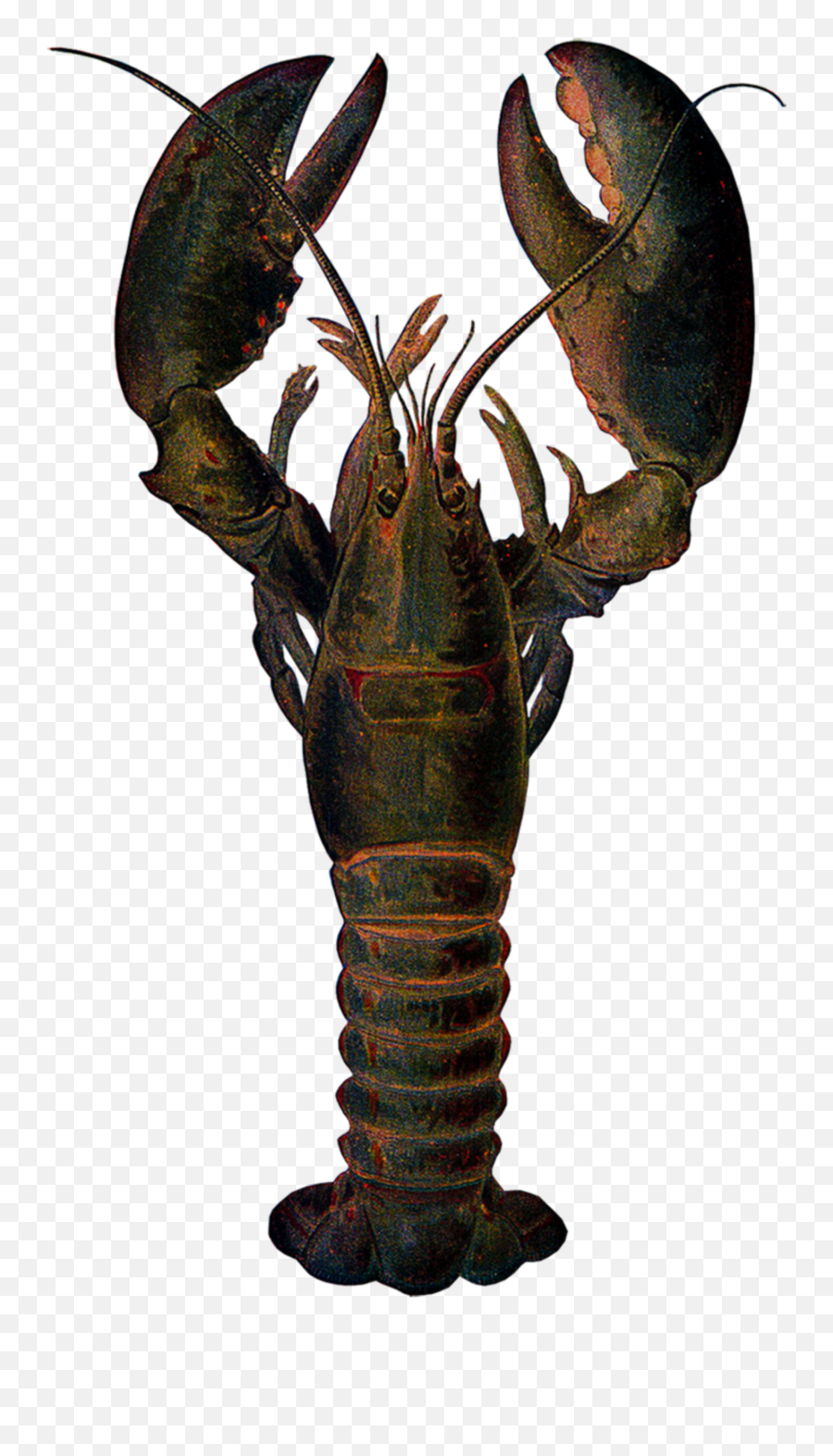 Lobster - Pincer Claw Of Lobster Emoji,Lobster Emoji