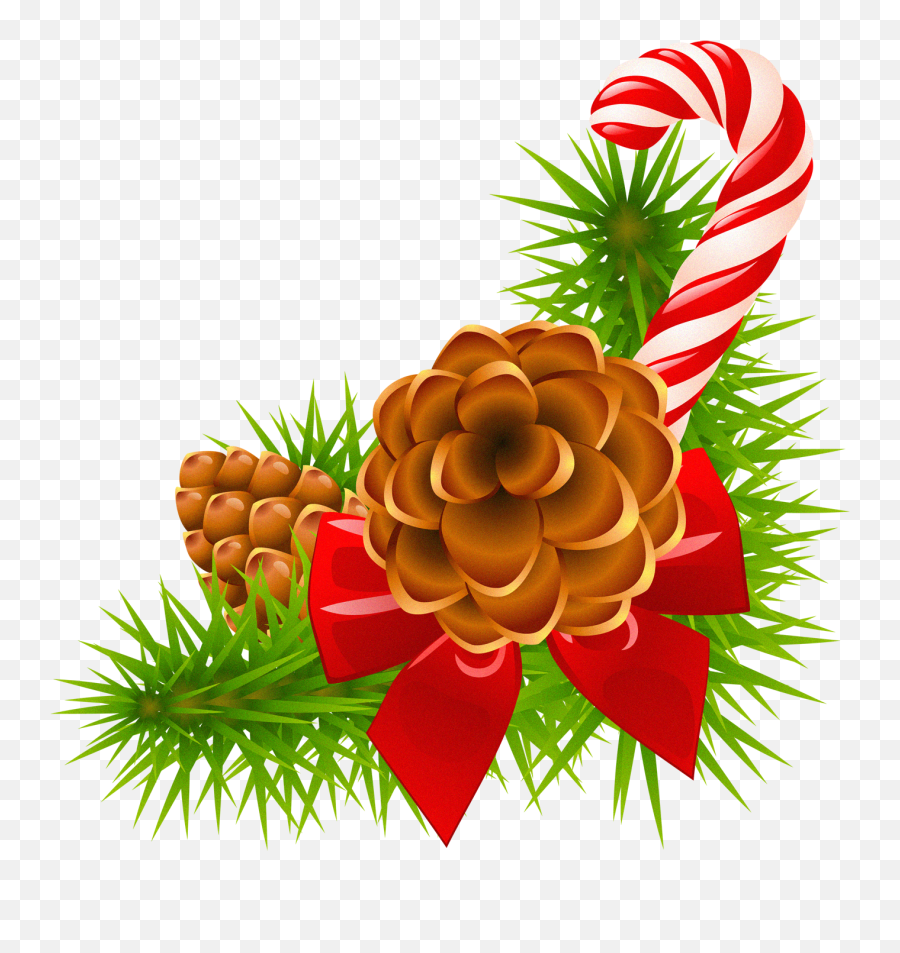 Pinecone Clipart Cartoon Pinecone Cartoon Transparent Free - Pine Cones Christmas Png Emoji,Pinecone Emoji